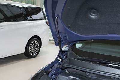 2026款 陸尊 尊享版-外觀-圖片-有駕