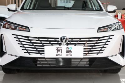 2024款 1.5T GDI自动 尊贵型-外观-图片-有驾