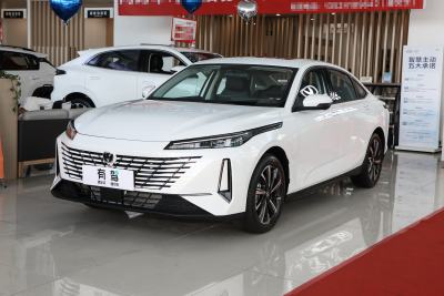 2024款 1.5T GDI自动 尊贵型-外观-图片-有驾