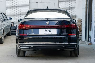 2024款 380TSI 星空龙腾版-外观-图片-有驾