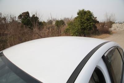 2024款 荣耀版 EV 420KM领先型-外观-图片-有驾