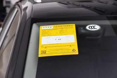 2024款 出众款 300TSI 自动两驱龙腾版-外观-图片-有驾