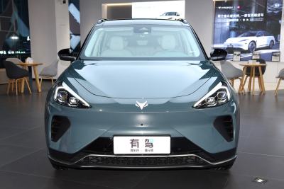 2024款 618E 森林版PRO 175kW-外观-图片-有驾