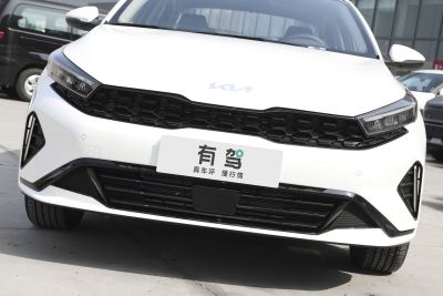 2024款 1.5L CVT舒适优享版-外观-图片-有驾