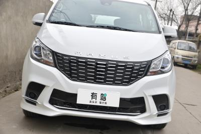 2024款 2.0L 手动多功能旅行版 CNG 7座-外观-图片-有驾