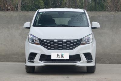 2024款 2.0L 手动多功能旅行版 CNG 7座-外观-图片-有驾