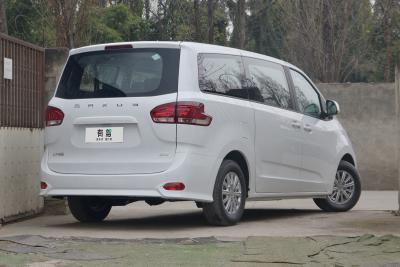 2024款 2.0L 手动多功能旅行版 CNG 7座-外观-图片-有驾