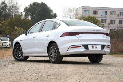 2024款 荣耀版 EV 420KM超越型-外观-图片-有驾