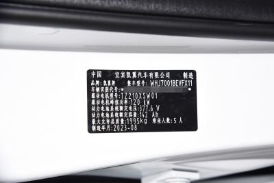2023款 401km 悦享版-外观-图片-有驾