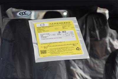 2025款 B6 智逸豪华版 7座-外观-图片-有驾