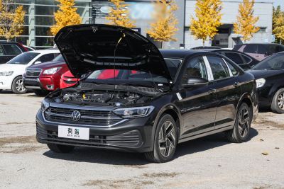 2026款 3000万辆甄选款 300TSI DSG 超越版-外观-图片-有驾