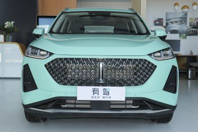 2021款 1.5L DHT原萃版-外观-图片-有驾