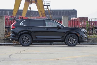 2026款 全球30年荣耀款 2.0L e:HEV 两驱智臻版-外观-图片-有驾