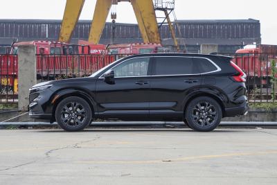 2026款 全球30年荣耀款 2.0L e:HEV 两驱智臻版-外观-图片-有驾