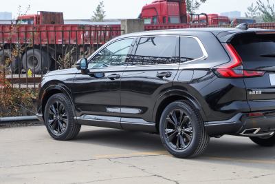 2026款 全球30年荣耀款 2.0L e:HEV 两驱智臻版-外观-图片-有驾