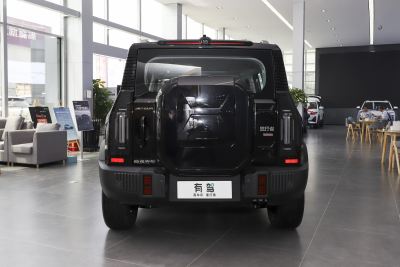 2023款 2.0T 四驱穿越PRO-外观-图片-有驾