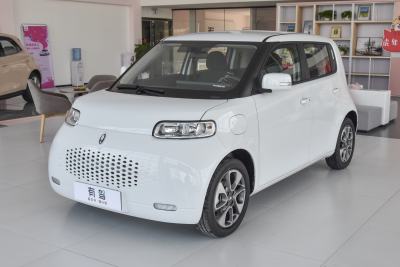 2022款 升级版 305km 豪华型 磷酸铁锂-外观-图片-有驾