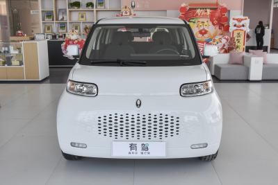 2022款 升级版 305km 豪华型 磷酸铁锂-外观-图片-有驾