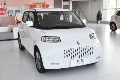 2022款 升级版 305km 豪华型 磷酸铁锂-外观-图片-有驾