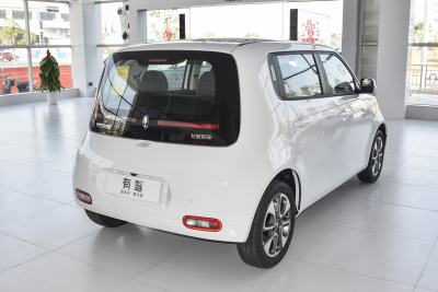 2022款 升级版 305km 豪华型 磷酸铁锂-外观-图片-有驾