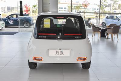 2022款 升级版 305km 豪华型 磷酸铁锂-外观-图片-有驾