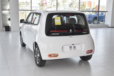 2022款 升级版 305km 豪华型 磷酸铁锂-外观-图片-有驾