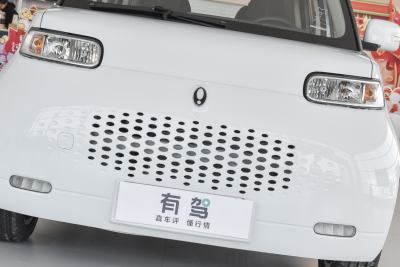 2022款 升级版 305km 豪华型 磷酸铁锂-外观-图片-有驾