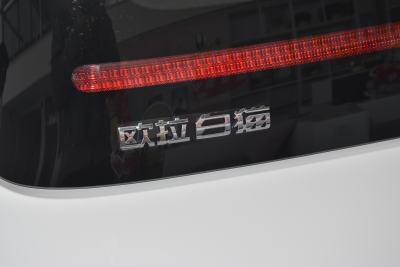 2022款 升级版 305km 豪华型 磷酸铁锂-外观-图片-有驾