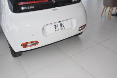 2022款 升级版 305km 豪华型 磷酸铁锂-外观-图片-有驾