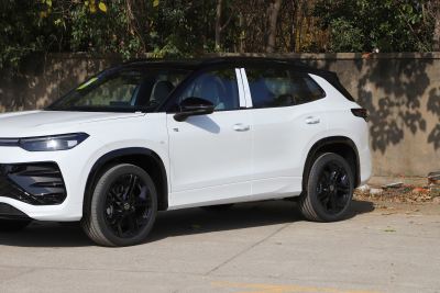 2026款 探岳L 380TSI 四驱豪华Easy包-外观-图片-有驾