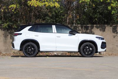 2026款 探岳L 380TSI 四驱豪华Easy包-外观-图片-有驾