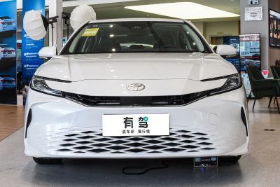 2024款 双擎 2.0HGVP 豪华版-外观-图片-有驾