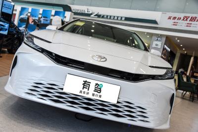 2024款 双擎 2.0HGVP 豪华版-外观-图片-有驾