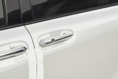 2026款 2.5L 双擎两驱铂金版-外观-图片-有驾