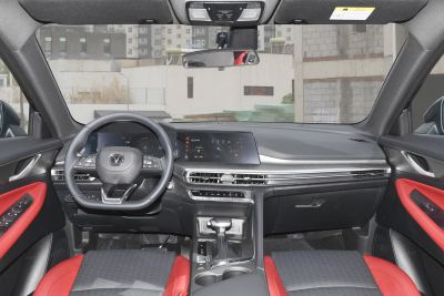 2022款 蓝鲸NE 1.4T DCT领航型-内饰-图片-有驾