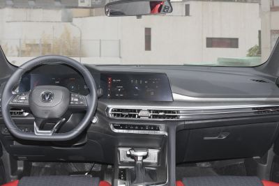 2022款 蓝鲸NE 1.4T DCT领航型-内饰-图片-有驾