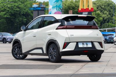 2026款 405km 自在版-外观-图片-有驾