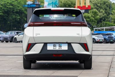 2026款 405km 自在版-外观-图片-有驾