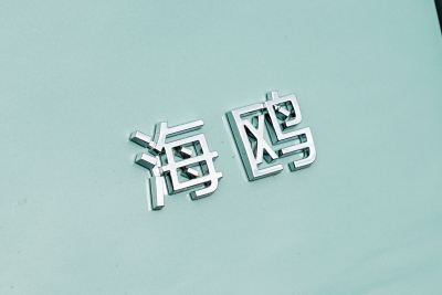 2026款 405km 自在版-外观-图片-有驾
