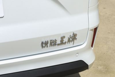 2025款 2.0L 自动长轴中级营运版 9座-外观-图片-有驾