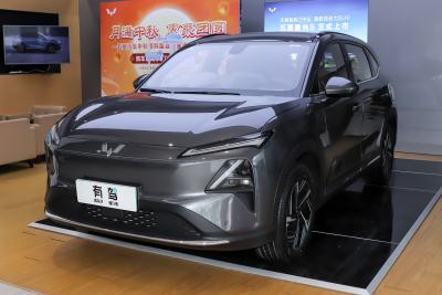 2024款 510km 领航型-外观-图片-有驾