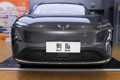 2024款 510km 领航型-外观-图片-有驾