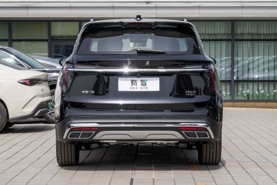 2024款 2.0T PHEV 两驱旗享版 6座-外观-图片-有驾