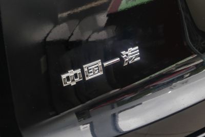 2024款 2.0T 自动两驱旗悦版 五座-外观-图片-有驾