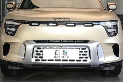 2024款 长续航奇旅 豪华版-外观-图片-有驾