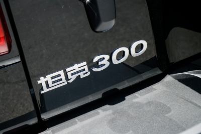 2026款 2.0T 汽油征服者-外观-图片-有驾