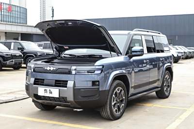 2025款 200KM两驱Max版-外观-图片-有驾