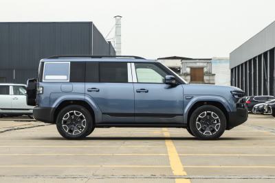 2025款 200KM两驱Max版-外观-图片-有驾