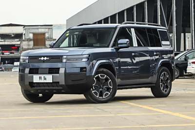 2025款 200KM两驱Max版-外观-图片-有驾