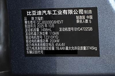 2025款 200KM两驱Max版-外观-图片-有驾